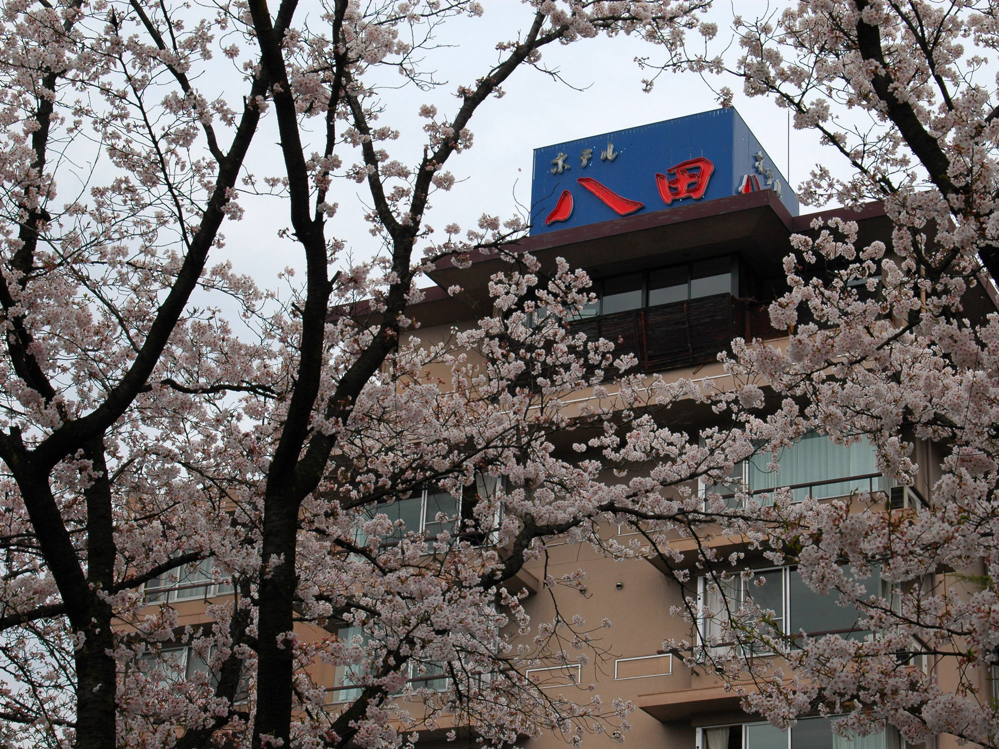 Hotel Hatta Fuefuki Exterior foto